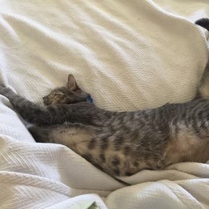 Meet your Posher, Molly